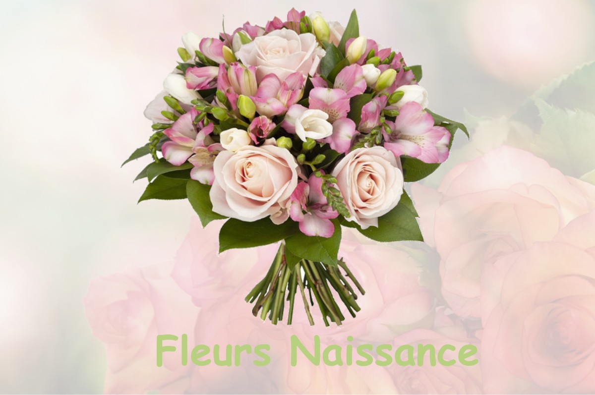 fleurs naissance LABASTIDE-SAINT-GEORGES
